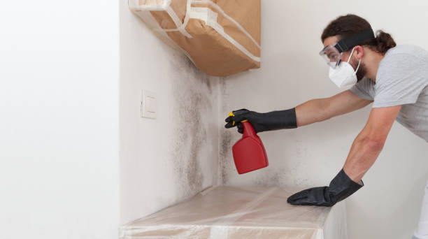 Professional Crawl Space Mold Removal technician working in Lumberton, NC