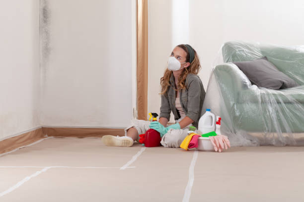 Reliable Crawl Space Mold Removal contractor in Lumberton, NC by WQB Mold Removal